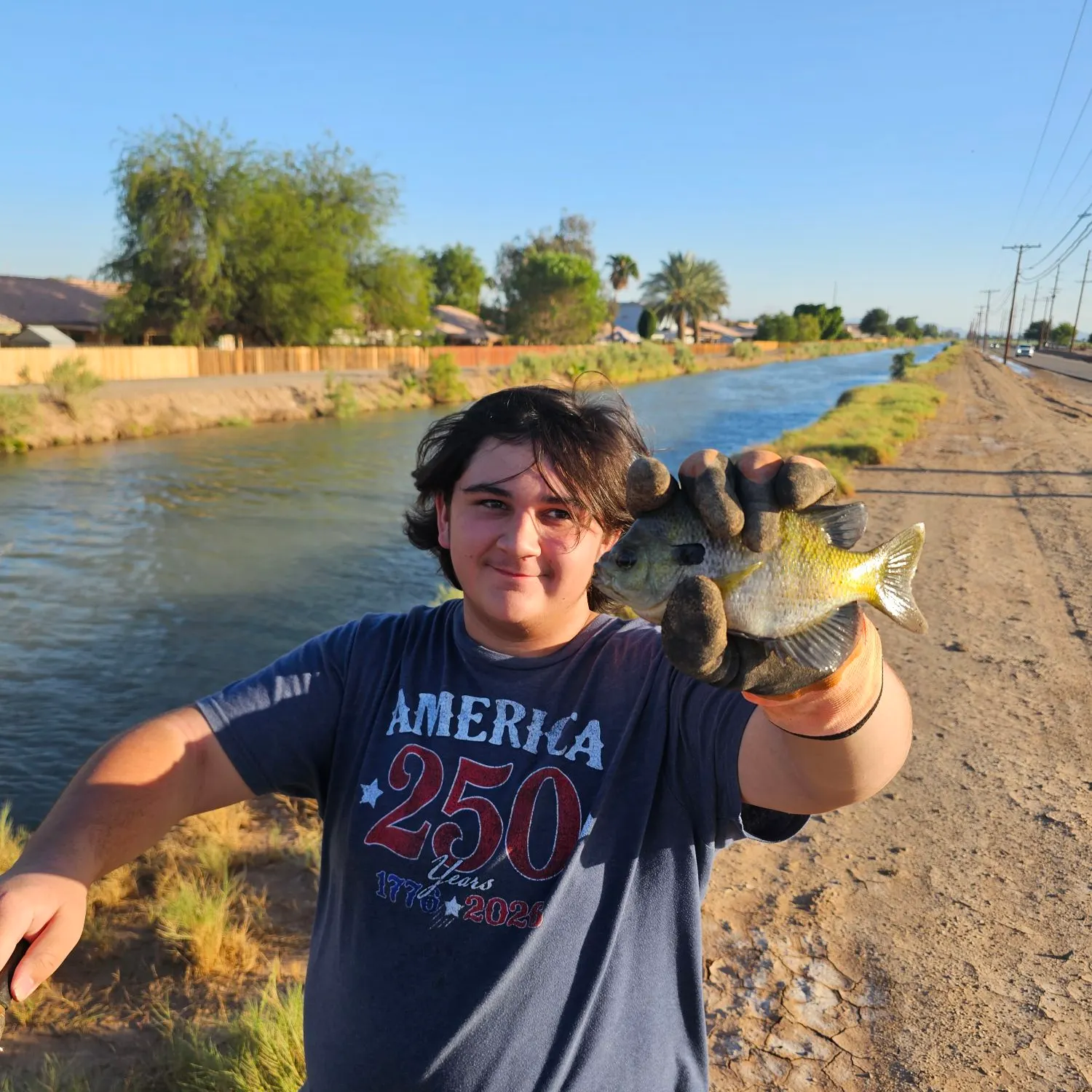 Bluegill caught on Fishbrain