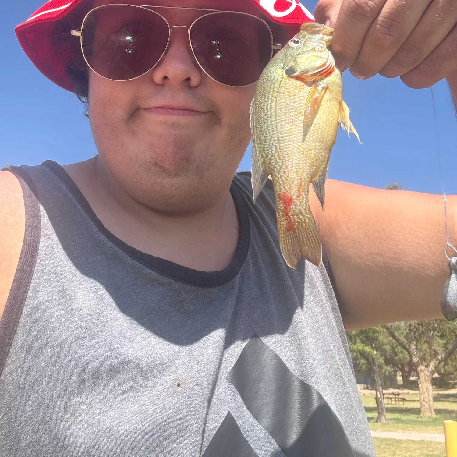Fish caught on Fishbrain