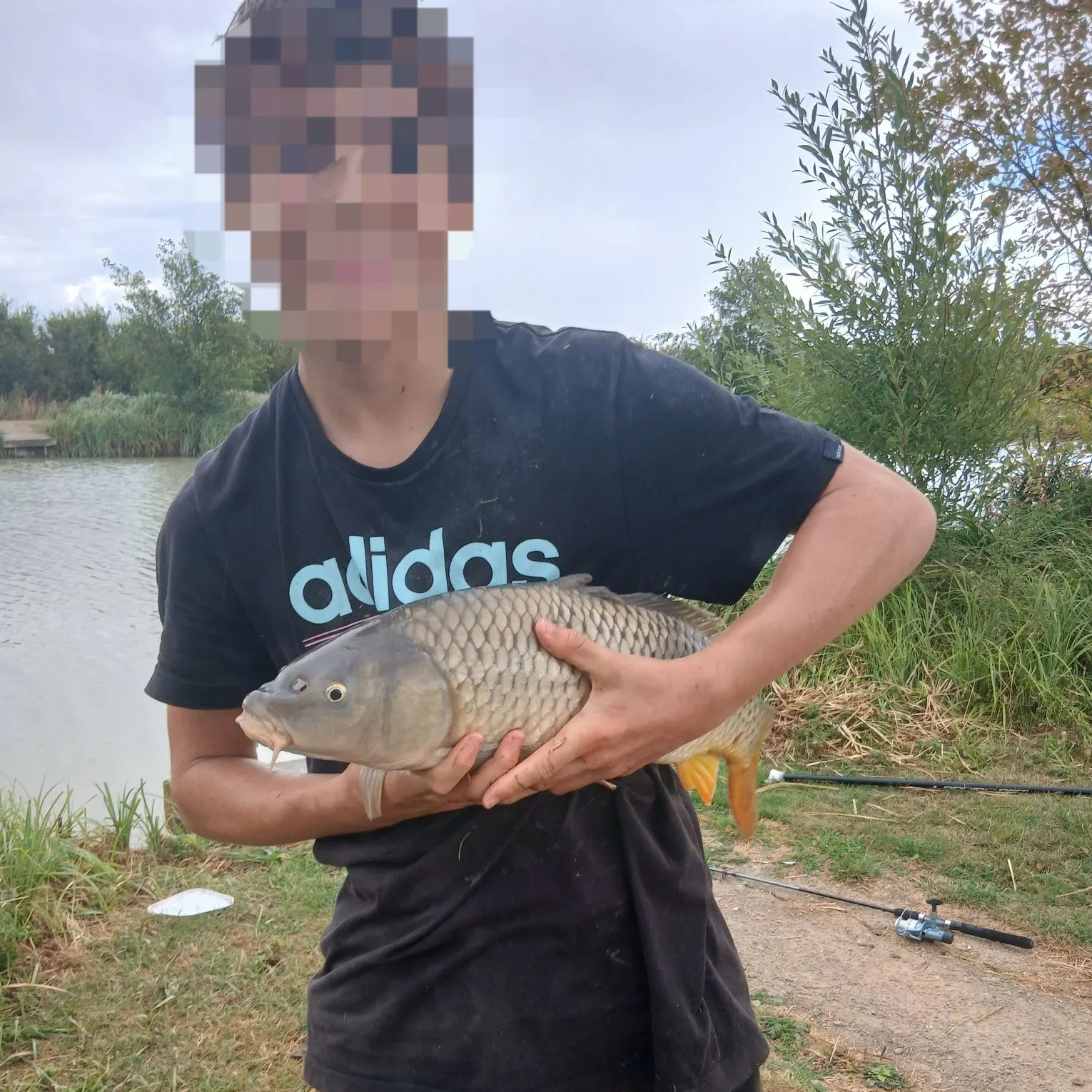 Common carp caught on Fishbrain