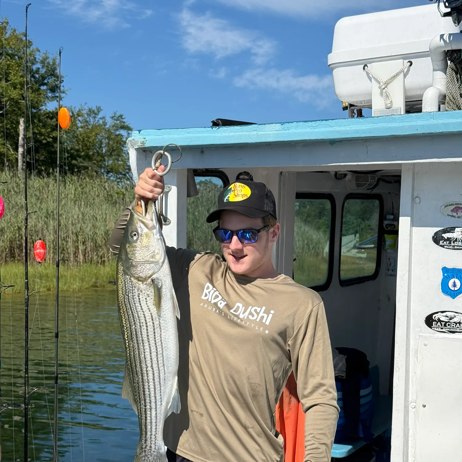Striped bass caught on Fishbrain