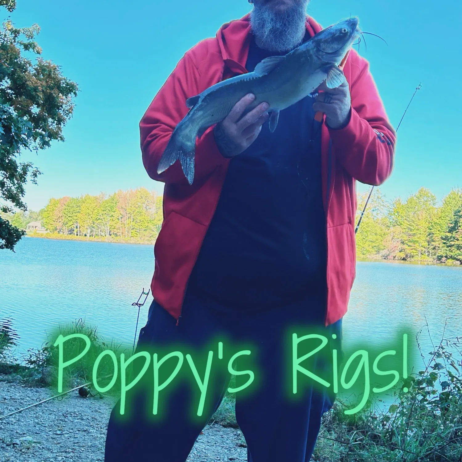 Channel catfish caught on Fishbrain