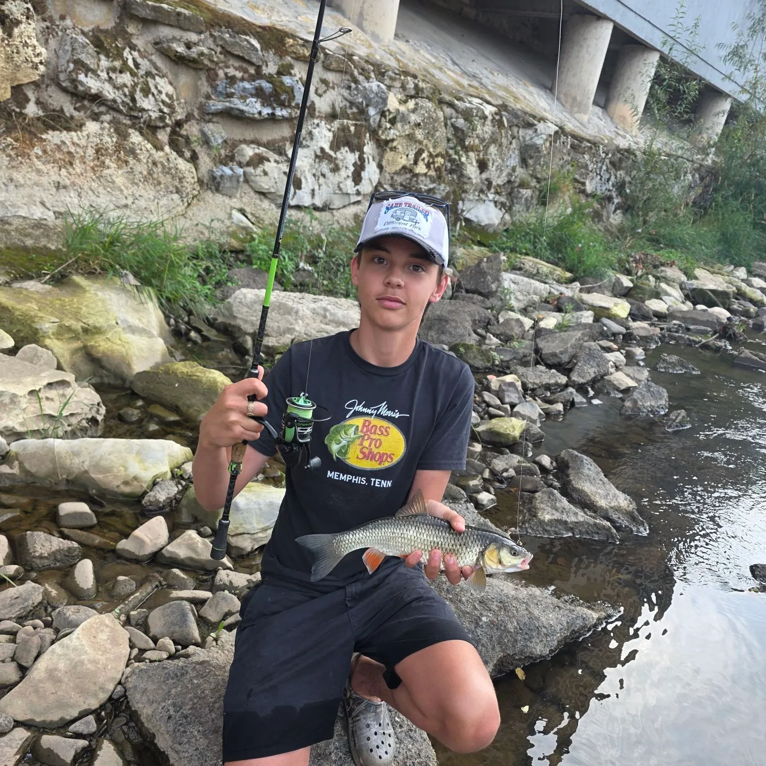 European chub caught on Fishbrain