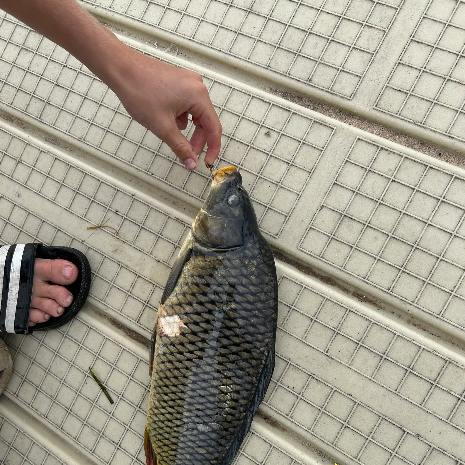 catch