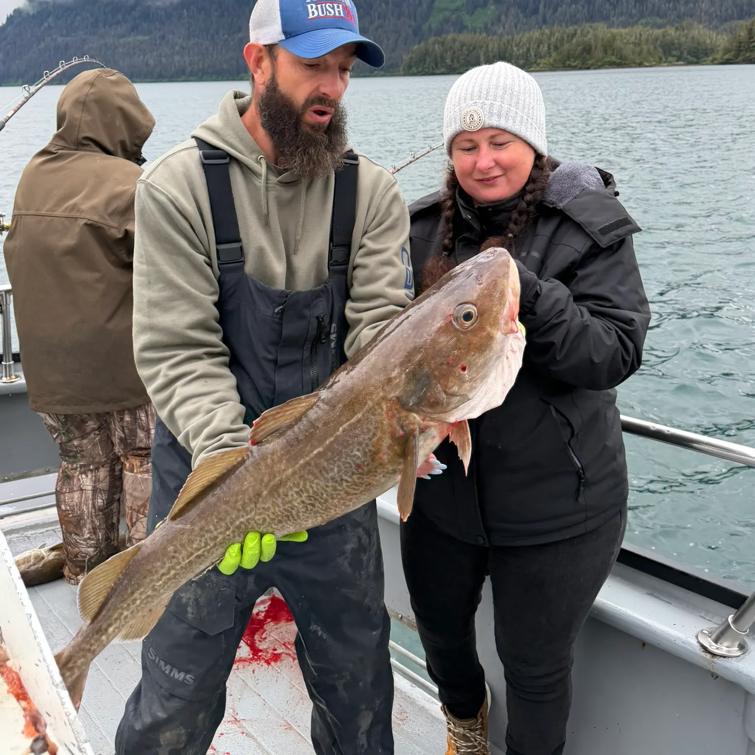 The most recent Pacific cod catches on Fishbrain