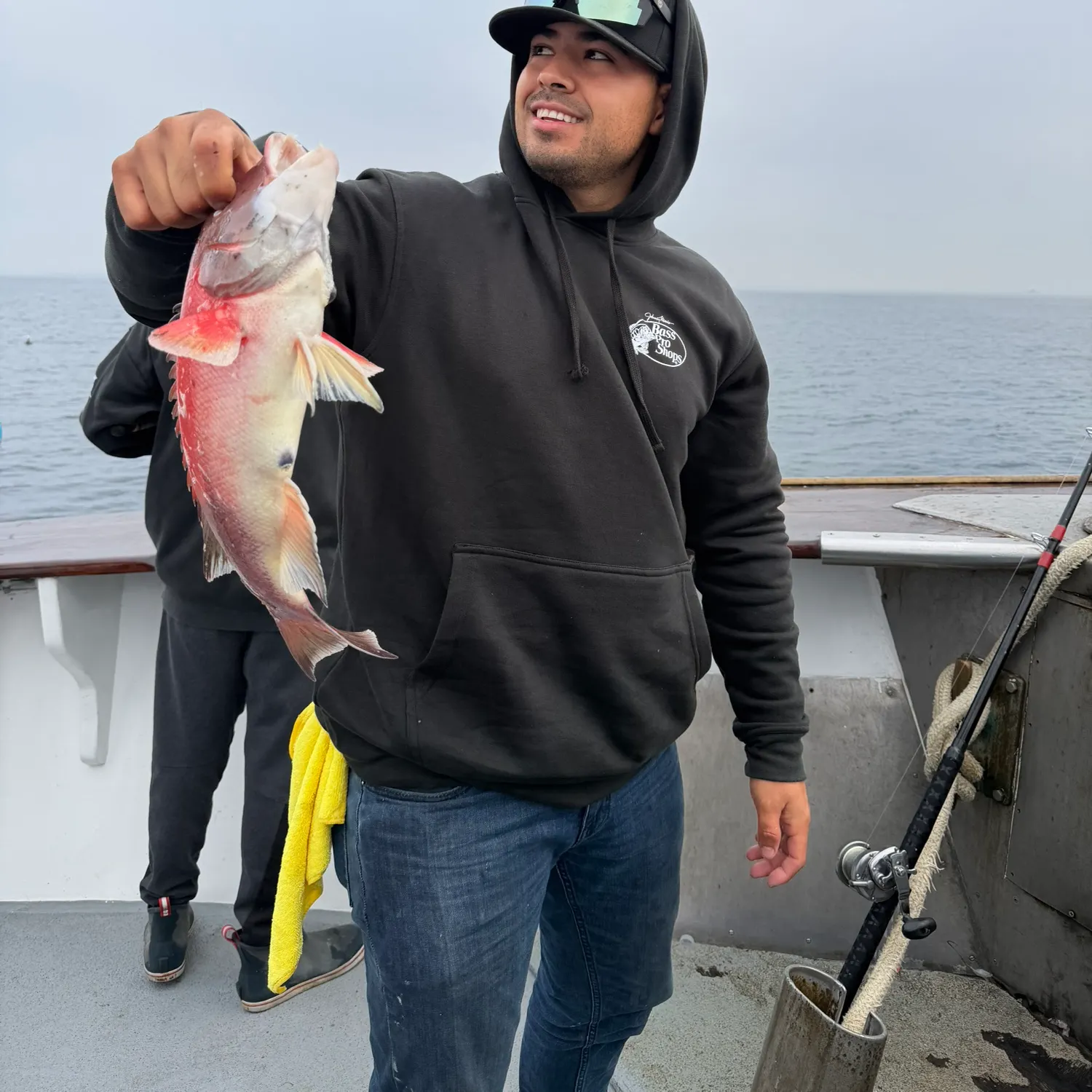 The most recent California sheephead catches on Fishbrain