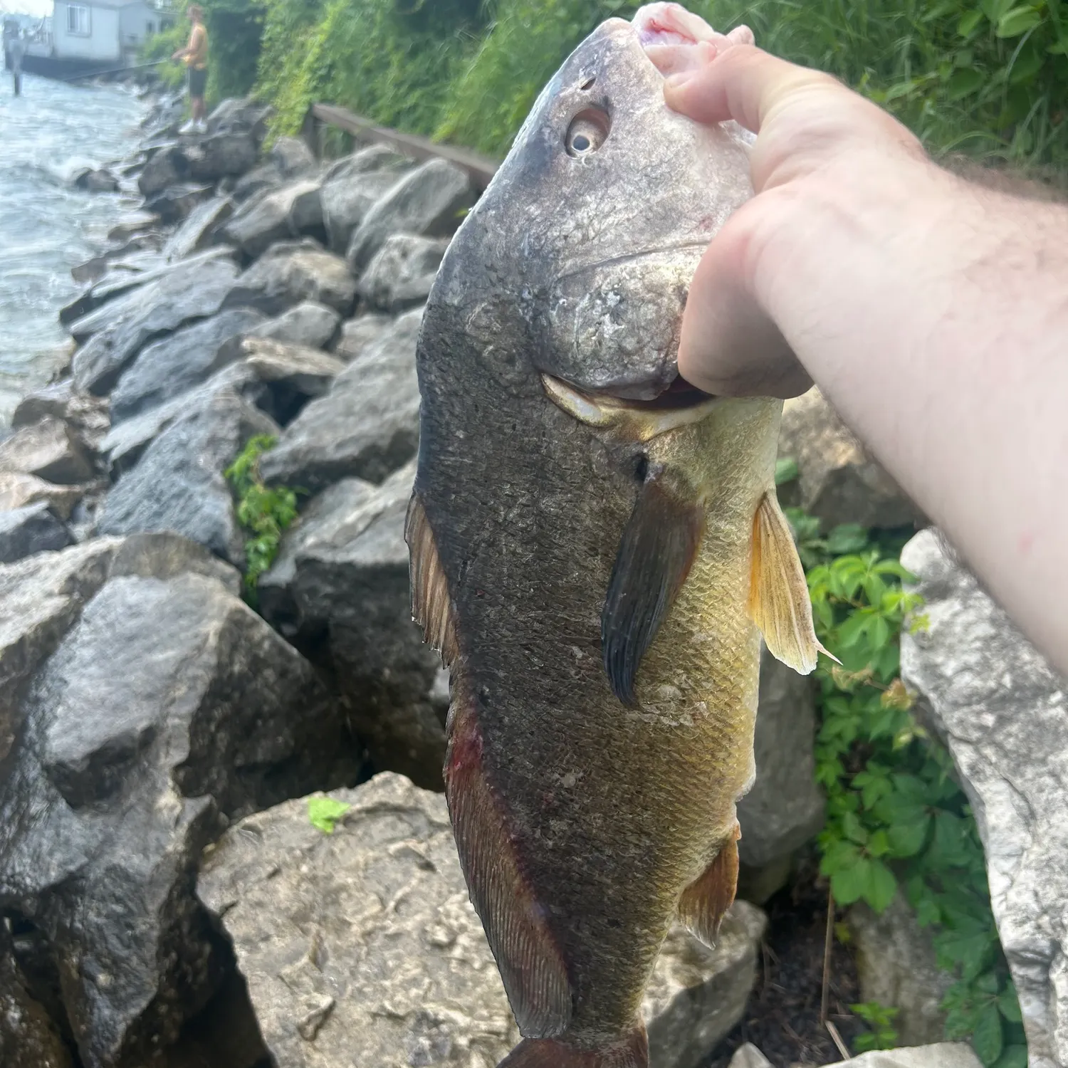 catch