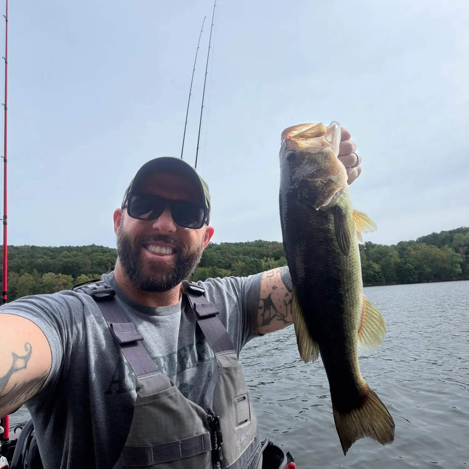 Largemouth bass caught on Fishbrain