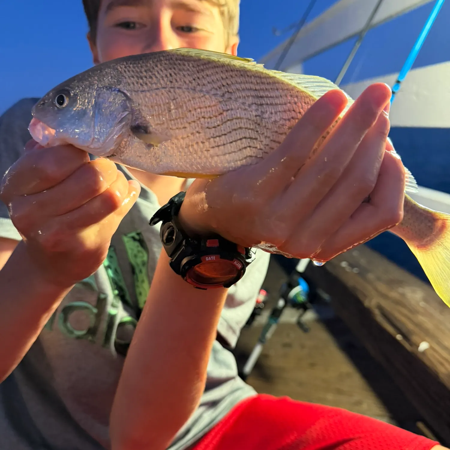 catch
