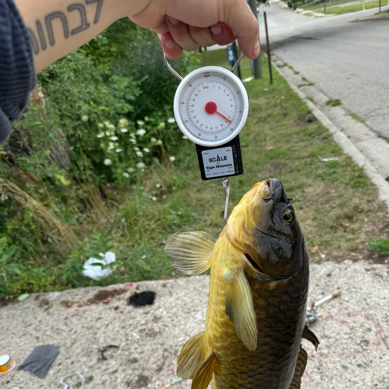 recently logged catches