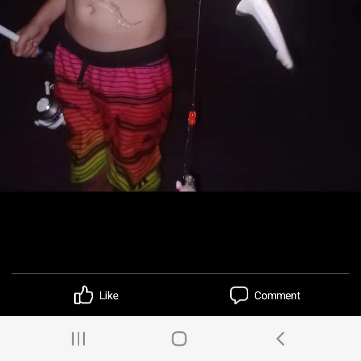 Blacktip shark caught on Fishbrain