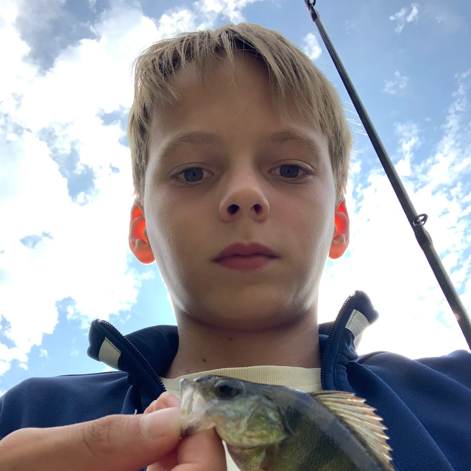 European perch caught on Fishbrain