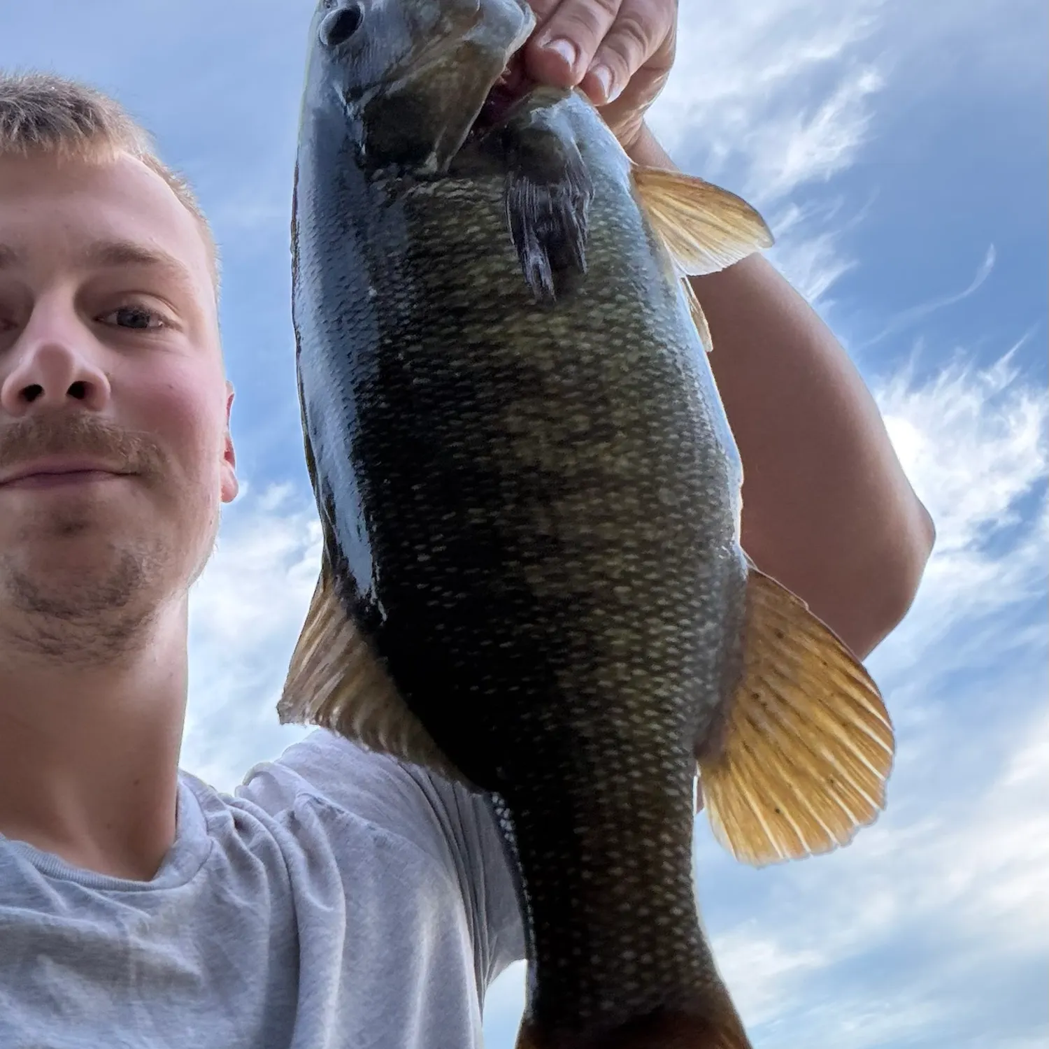 Smallmouth bass caught on Fishbrain