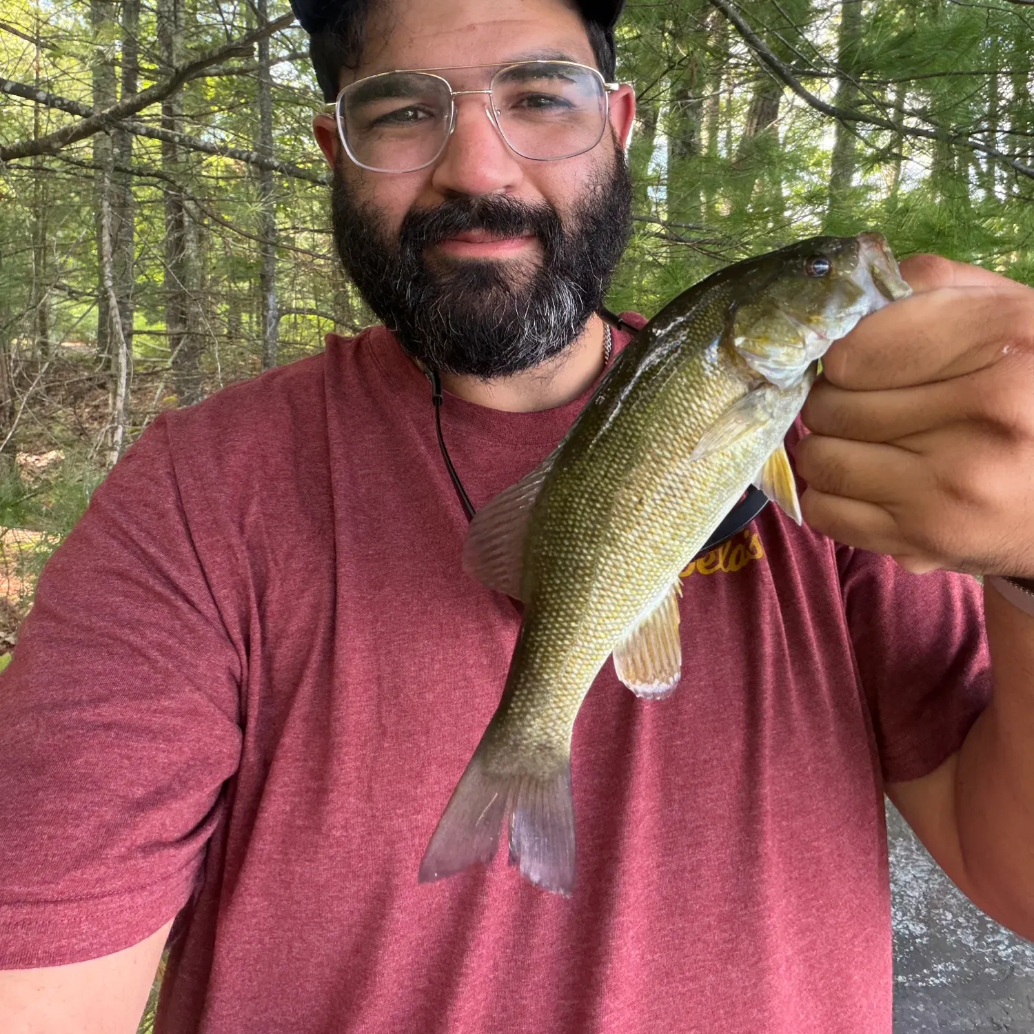 Smallmouth bass caught on Fishbrain