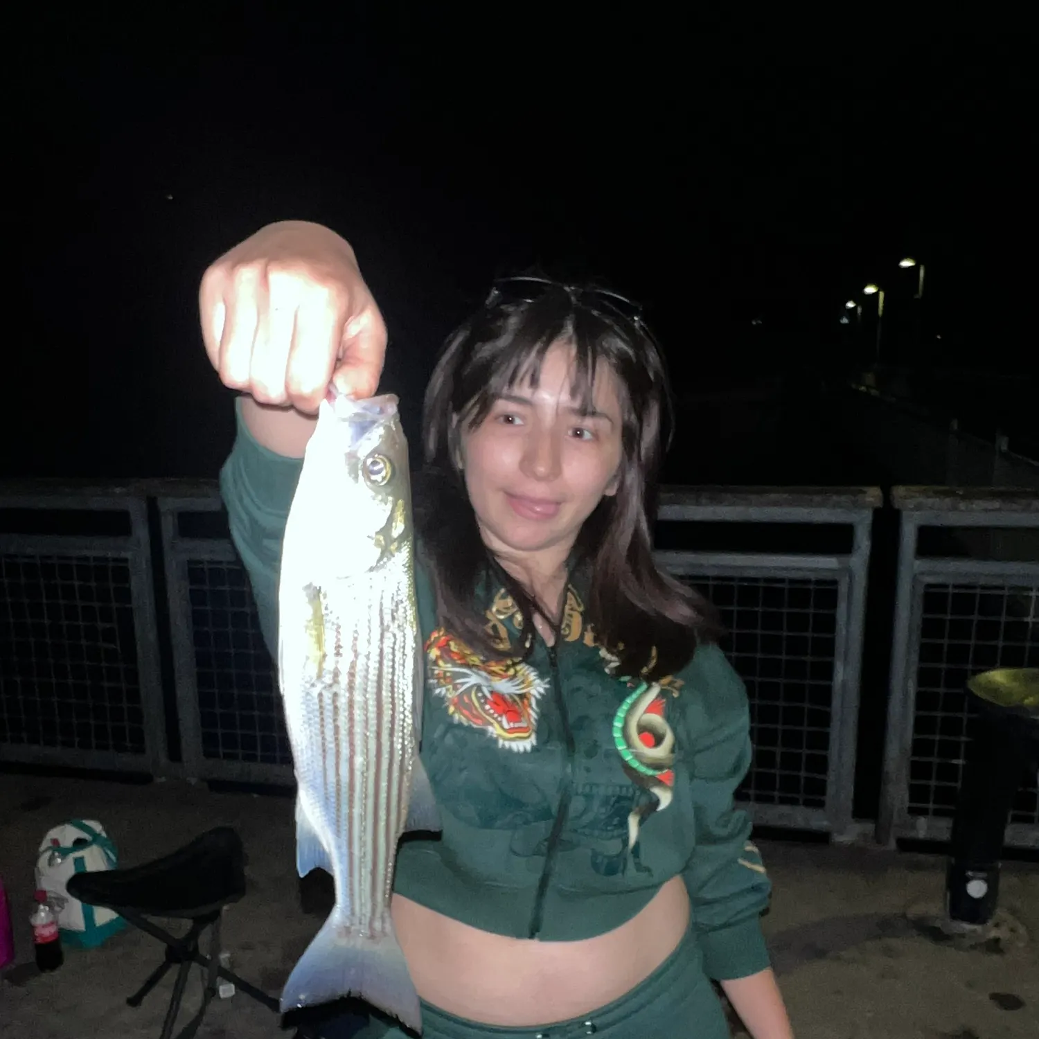 Striped bass caught on Fishbrain
