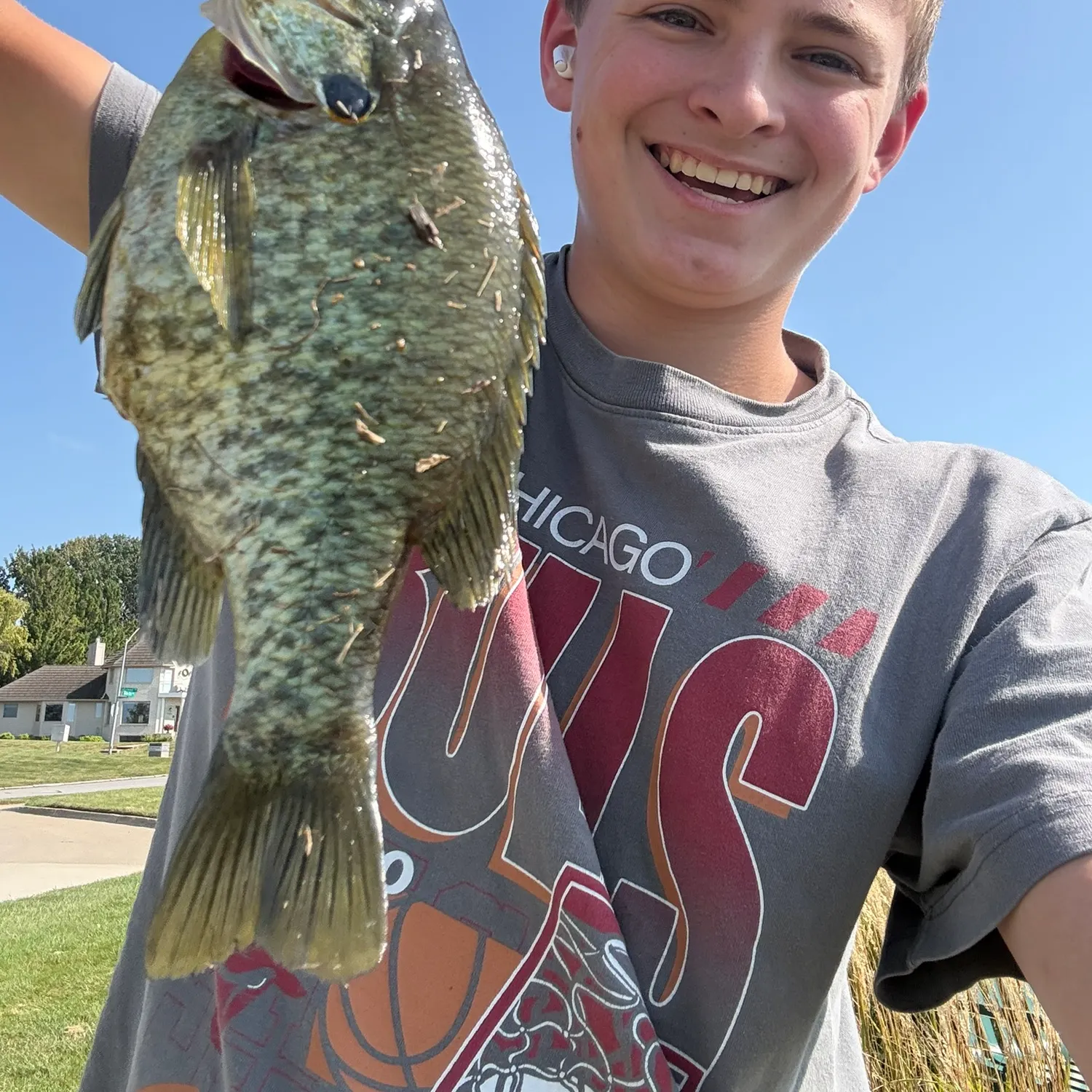 Redear sunfish caught on Fishbrain