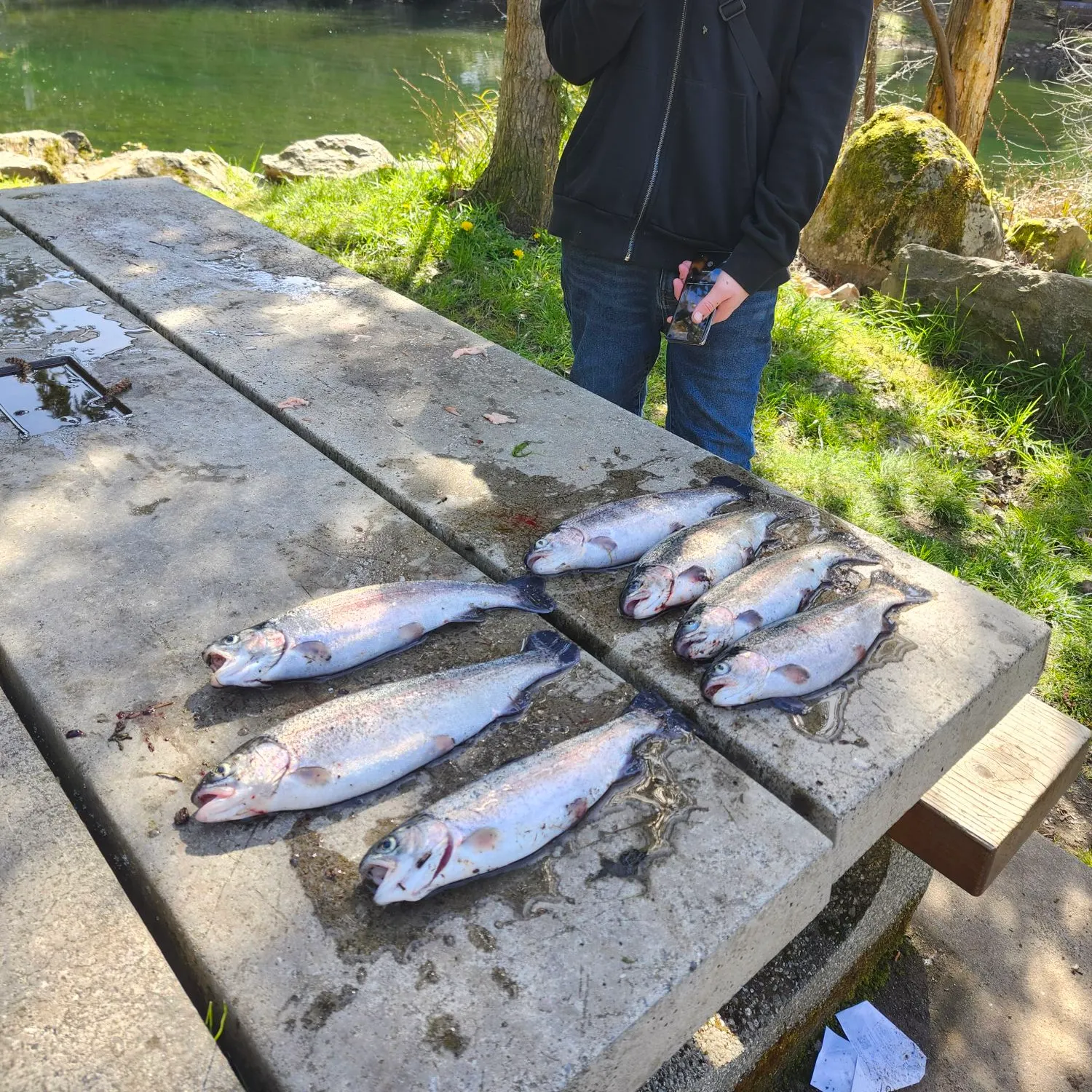 recently logged catches