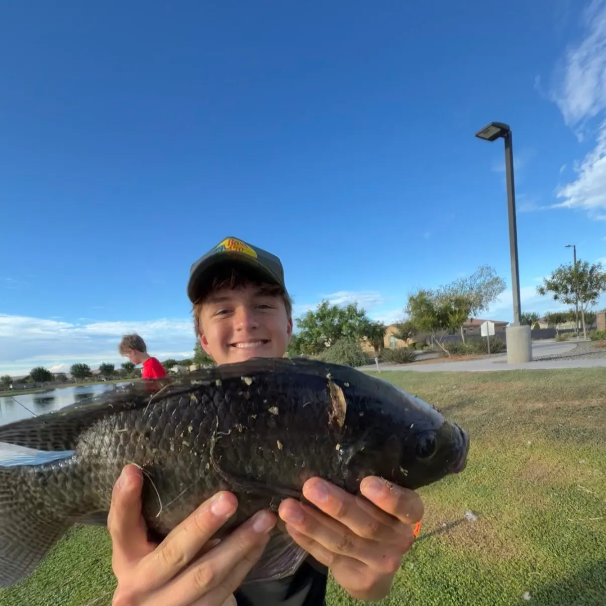 Blue tilapia caught on Fishbrain