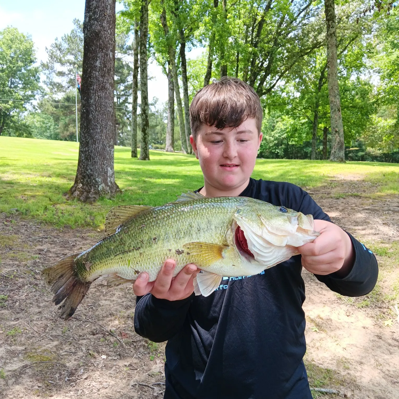 The most recent Largemouth bass catches on Fishbrain