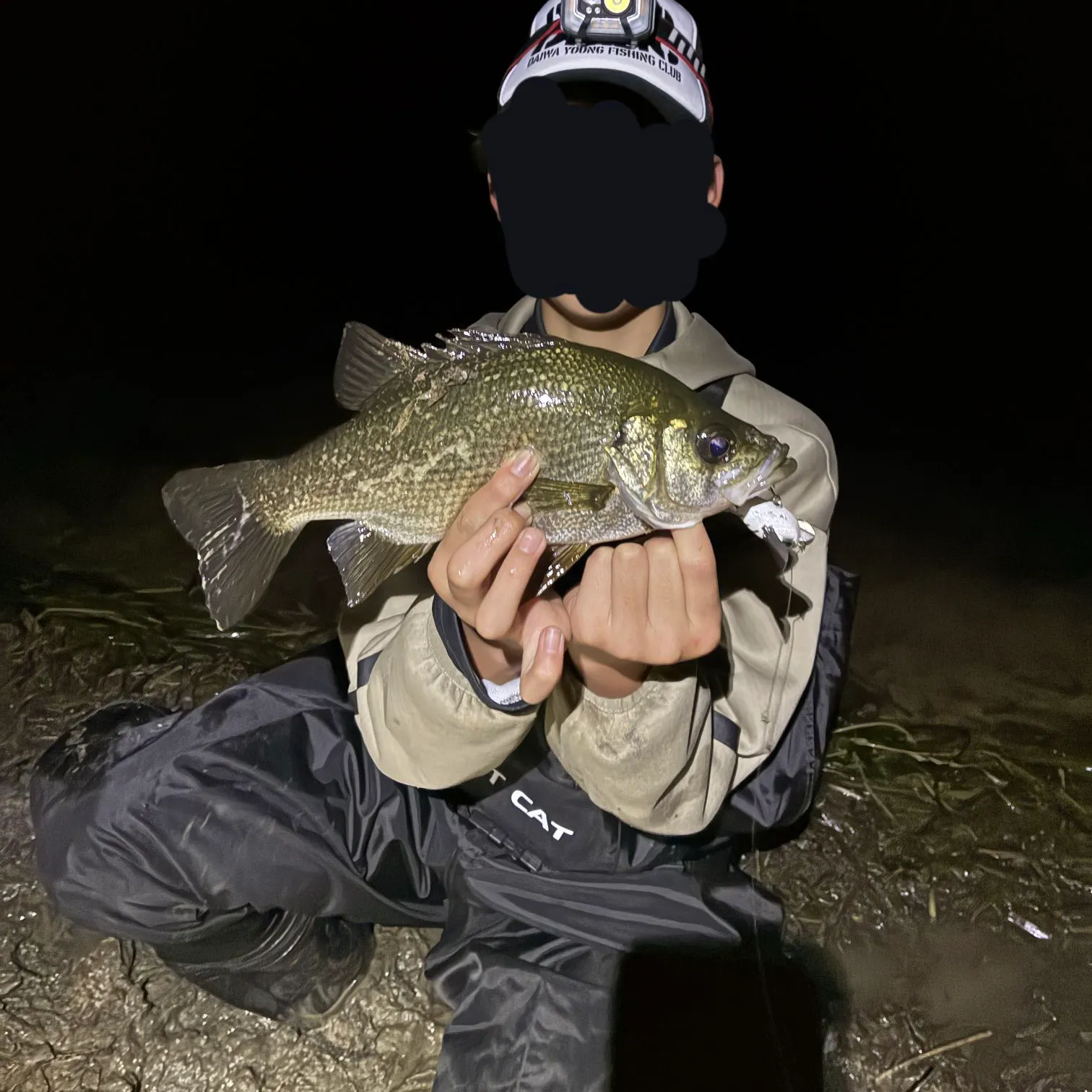 The most recent Estuary perch catches on Fishbrain