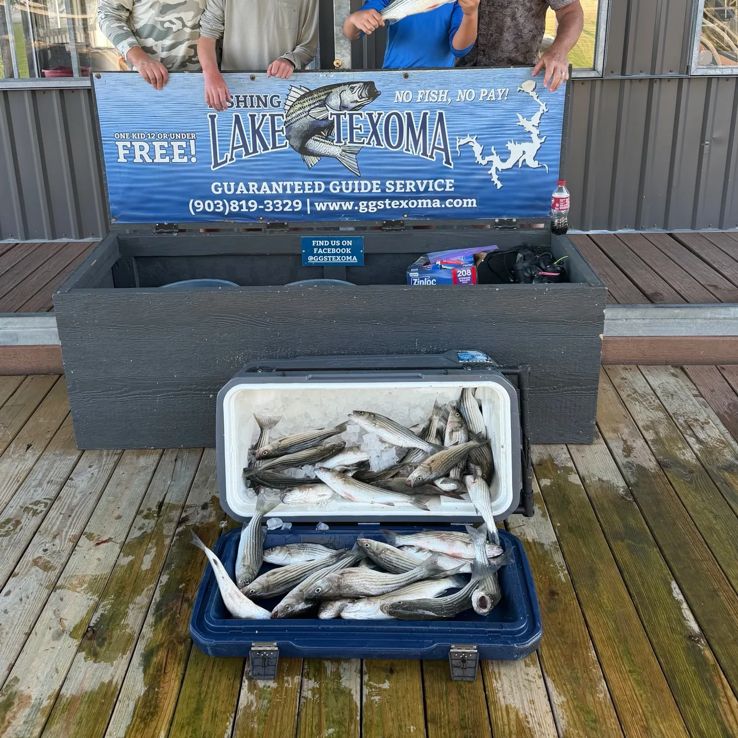 Striped bass caught on Fishbrain