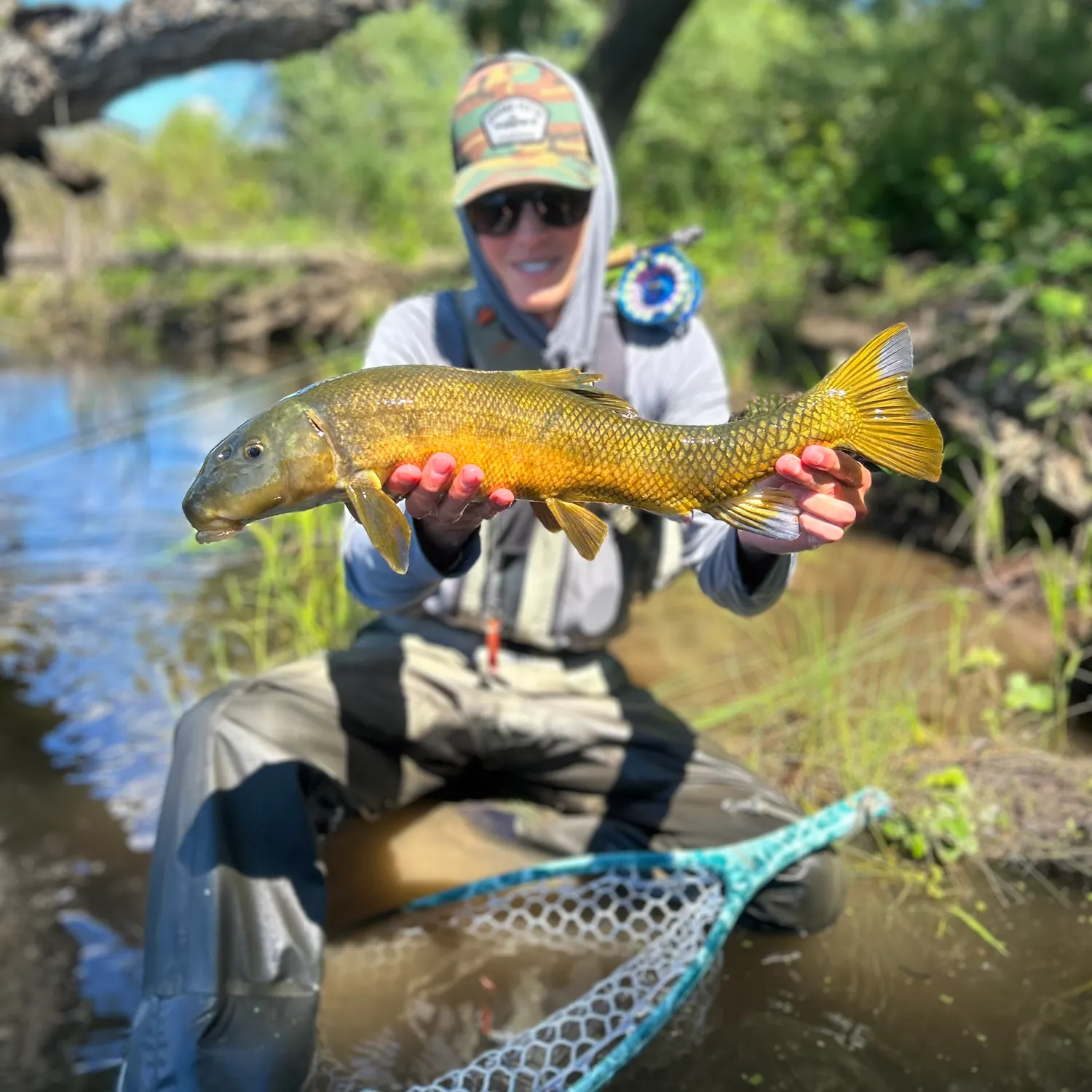 The most recent Sacramento sucker catches on Fishbrain