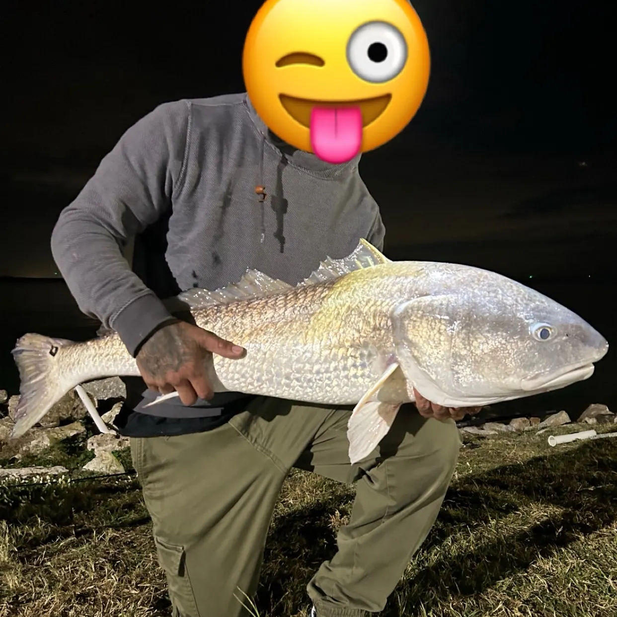 Red drum caught on Fishbrain