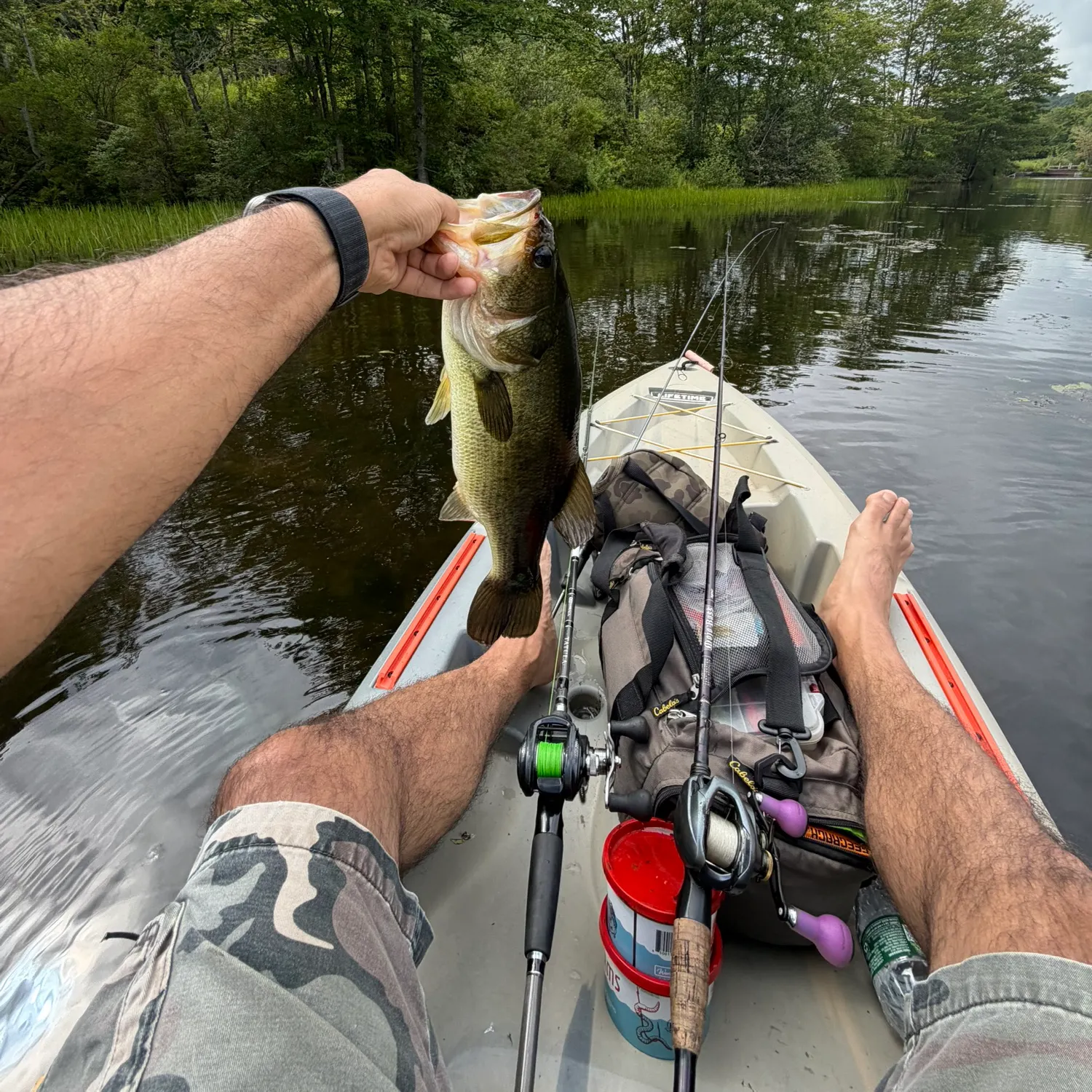 recently logged catches