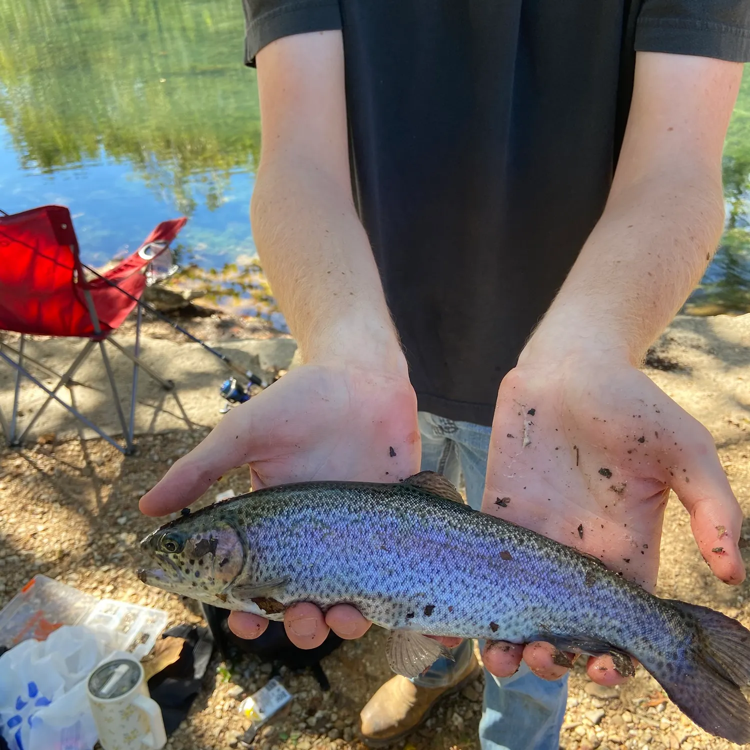 Rainbow trout caught on Fishbrain