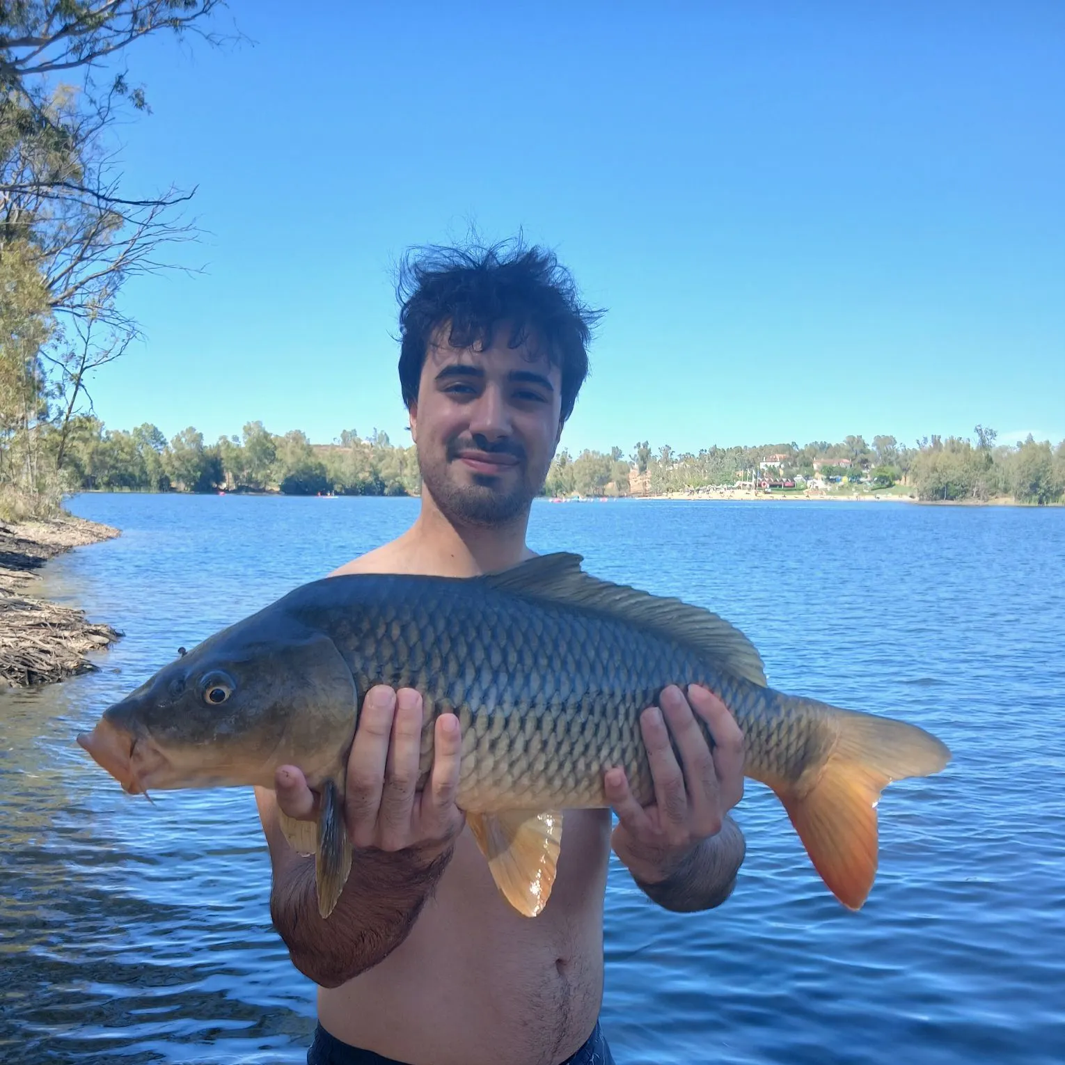 Common carp caught on Fishbrain