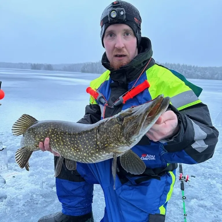 angler catch
