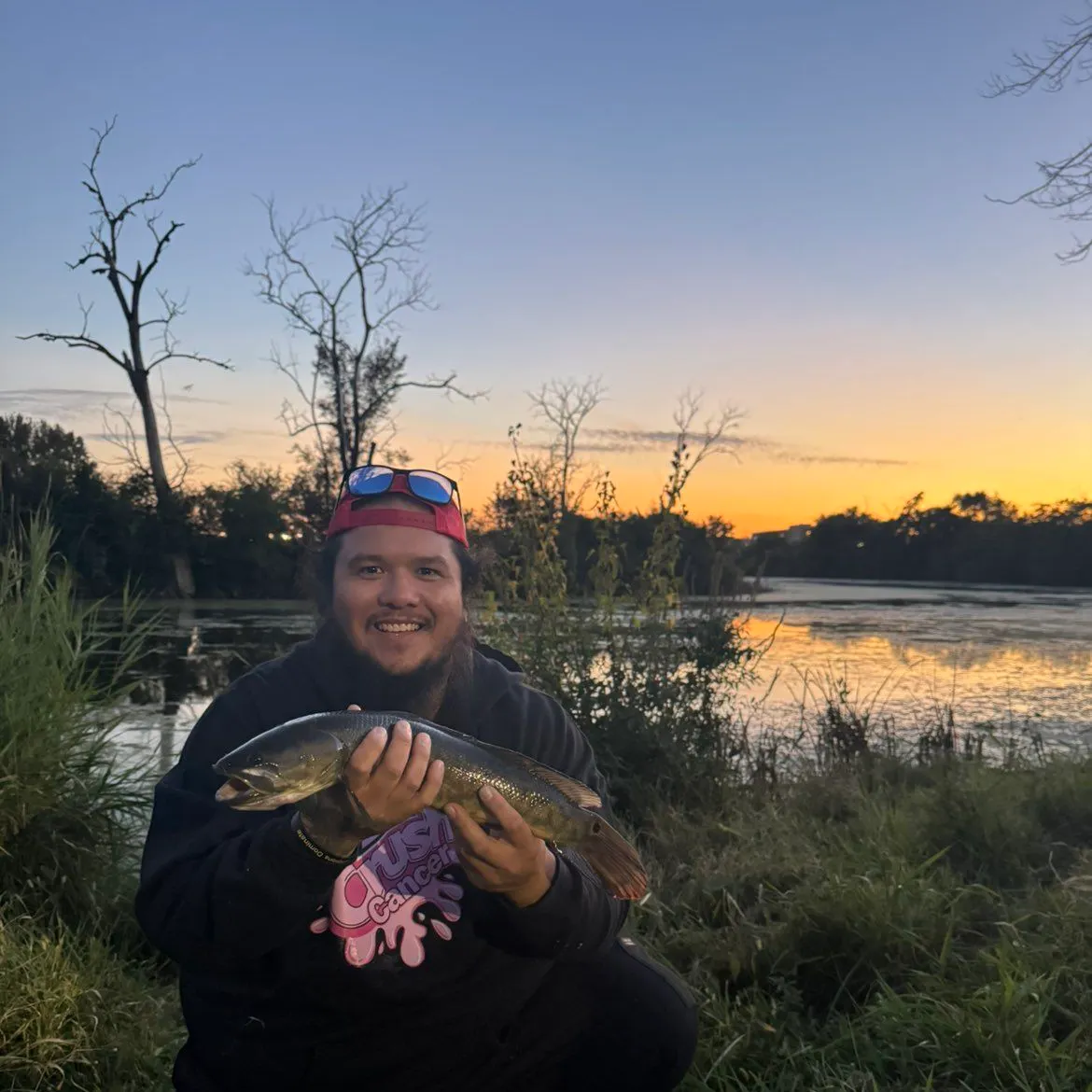 Eyetail bowfin caught on Fishbrain
