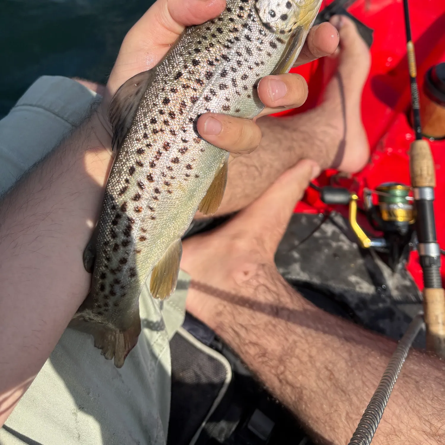 most liked catch image