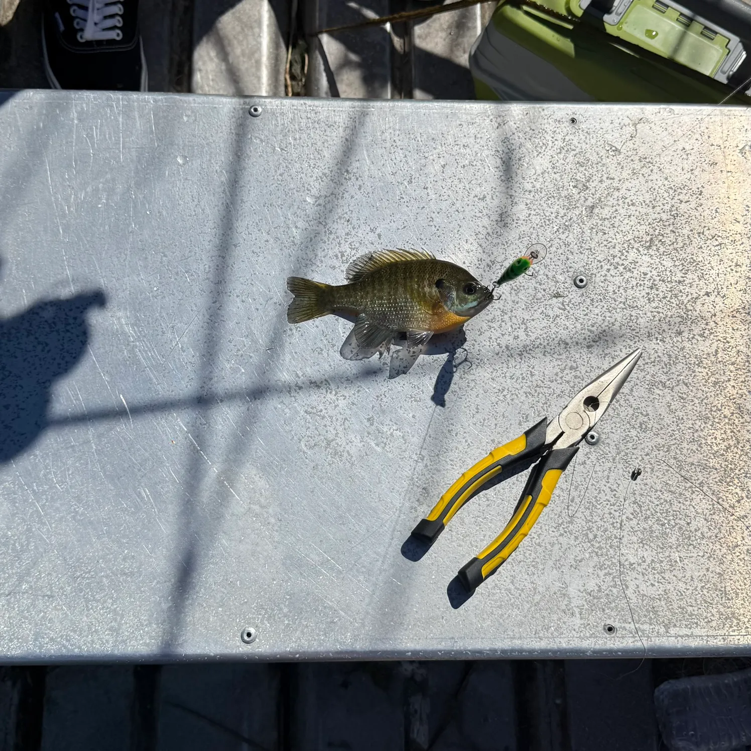 catch