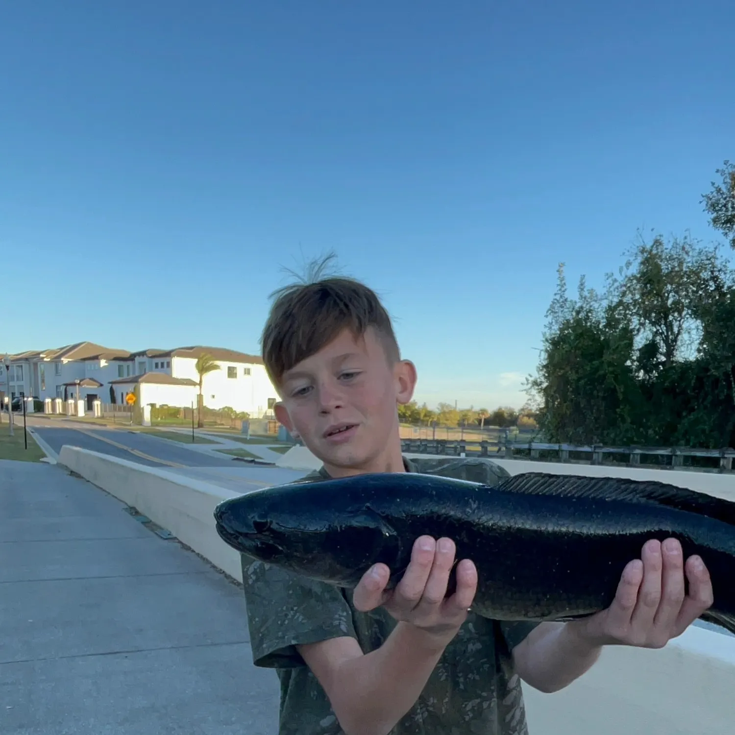 The most recent Eyetail bowfin catches on Fishbrain