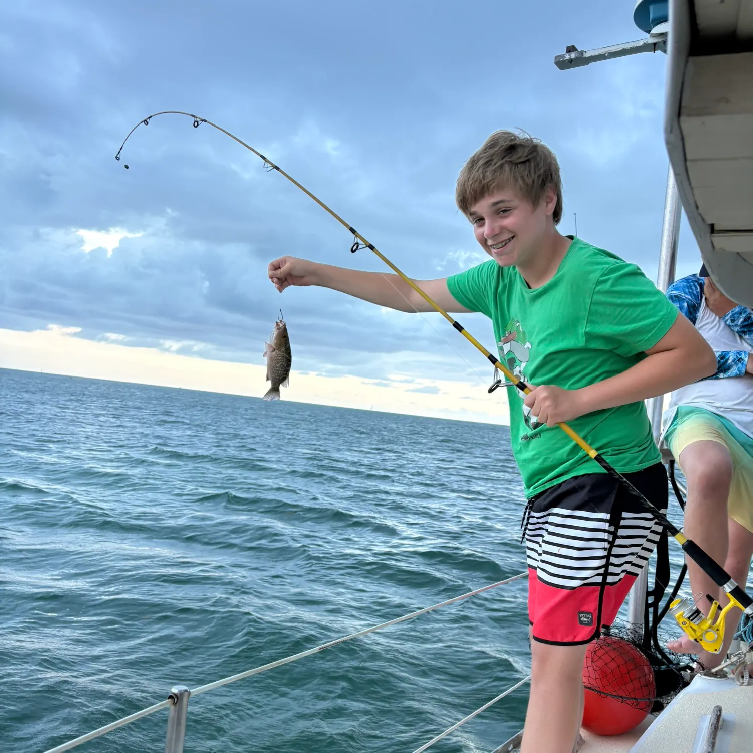 The most recent Bluestriped grunt catches on Fishbrain