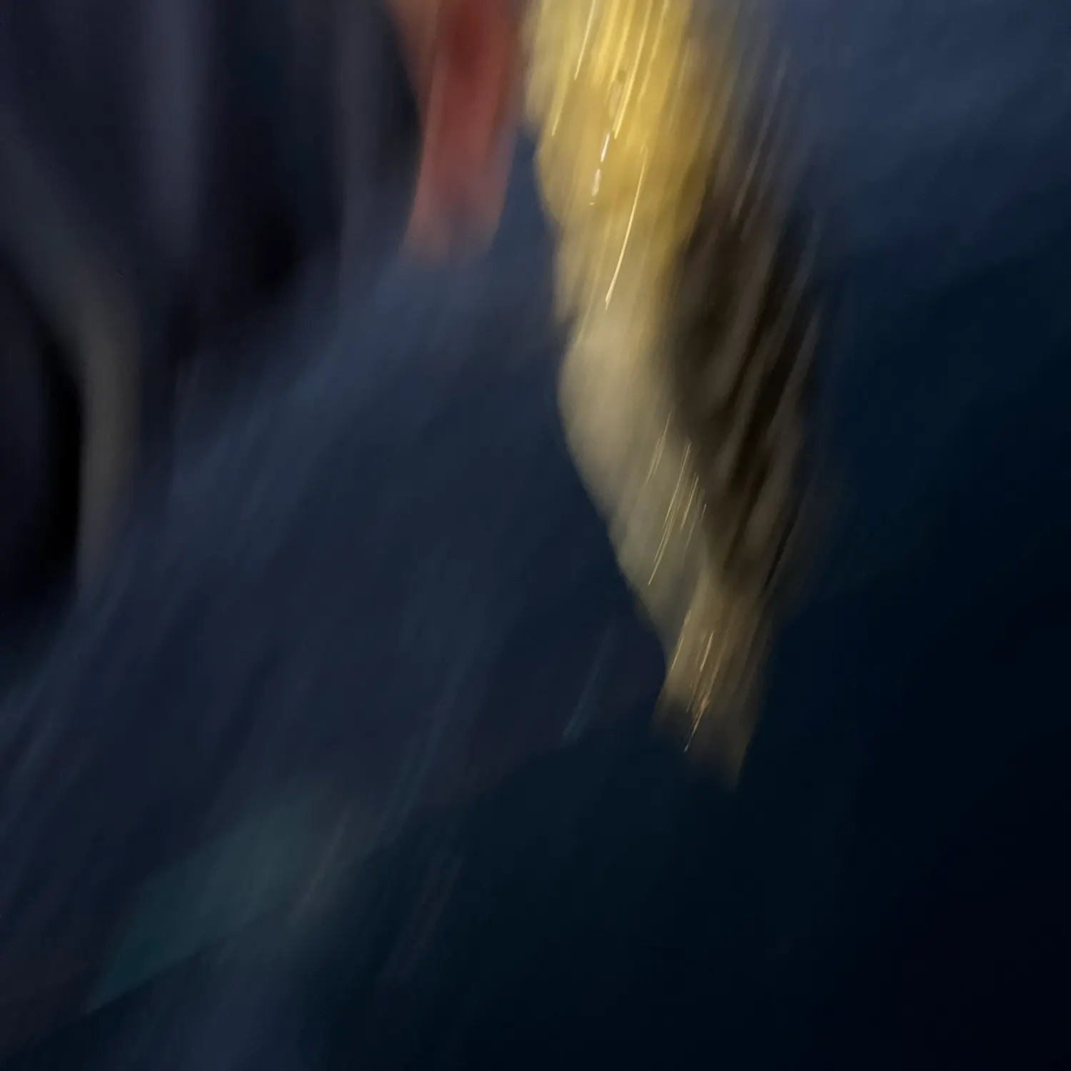 Kelp bass caught on Fishbrain