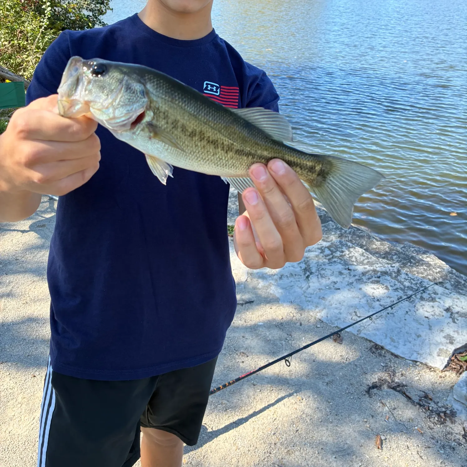 Largemouth bass caught on Fishbrain