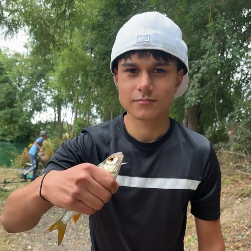 Common roach caught on Fishbrain