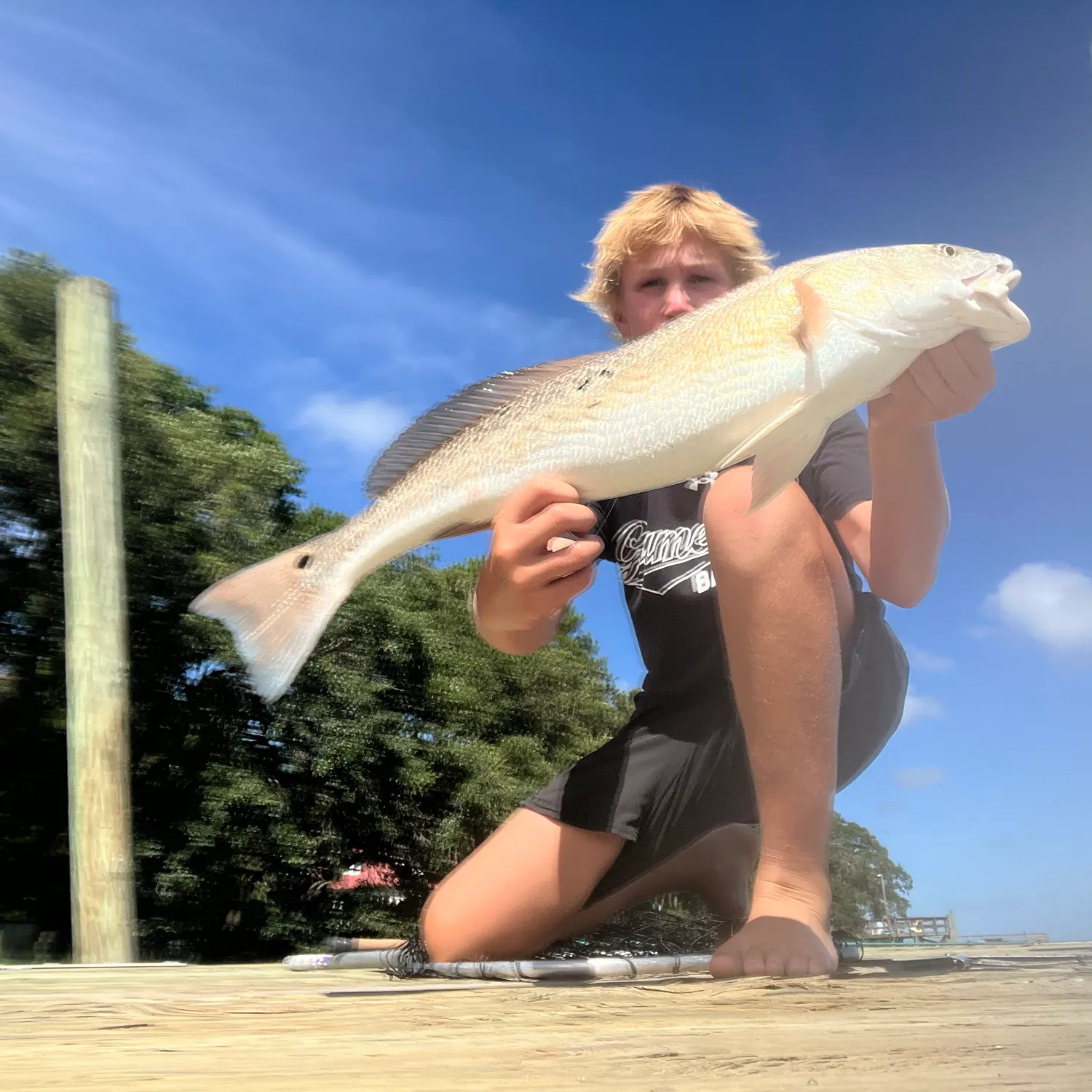 The most recent Red drum catches on Fishbrain