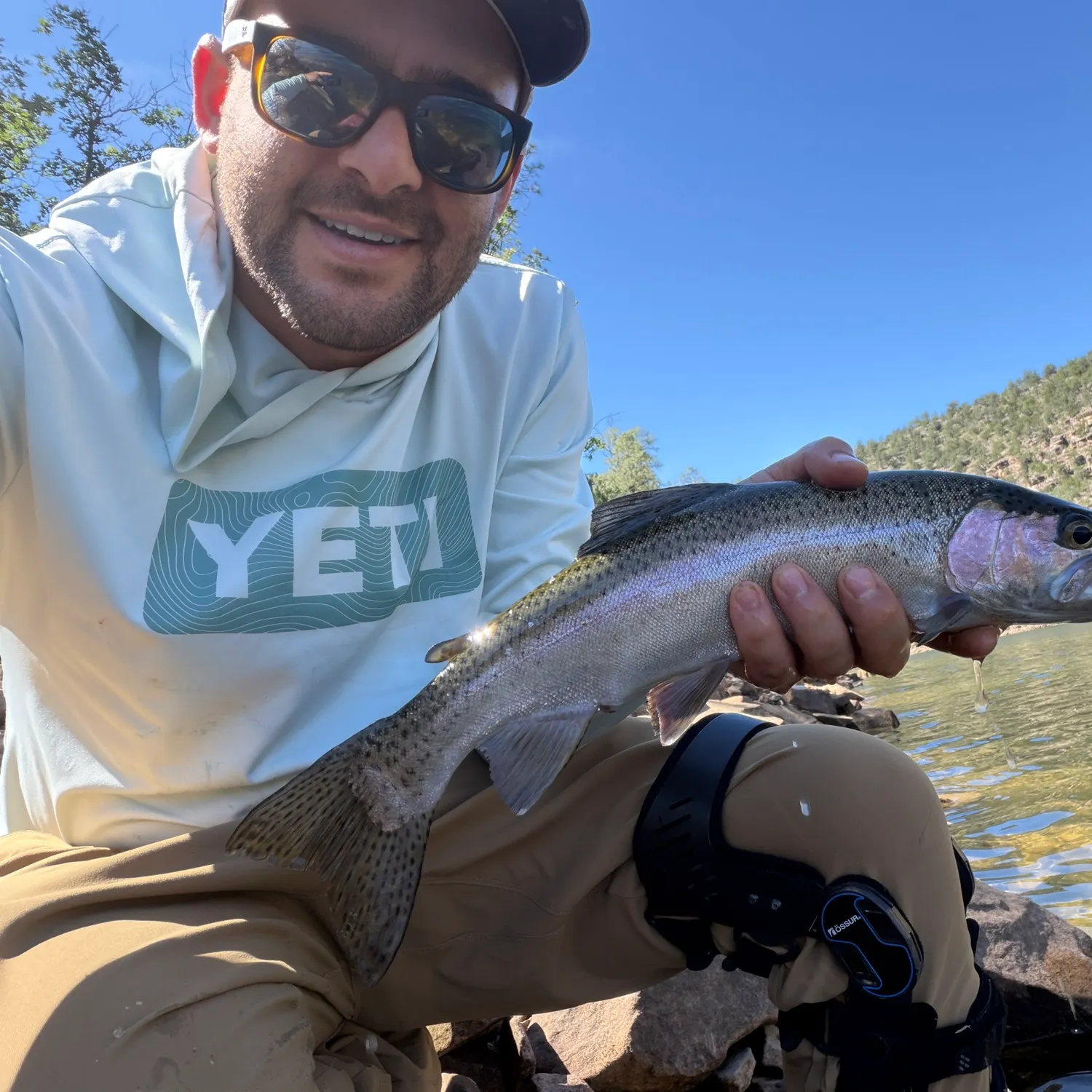 Rainbow trout caught on Fishbrain