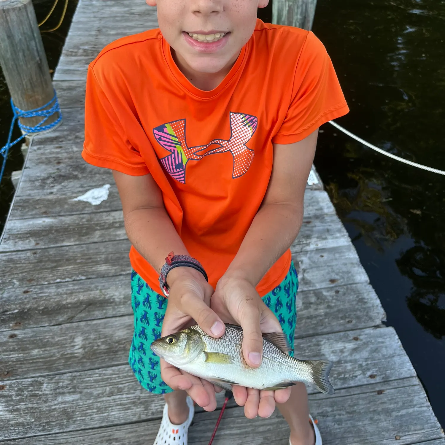 Spot croaker caught on Fishbrain