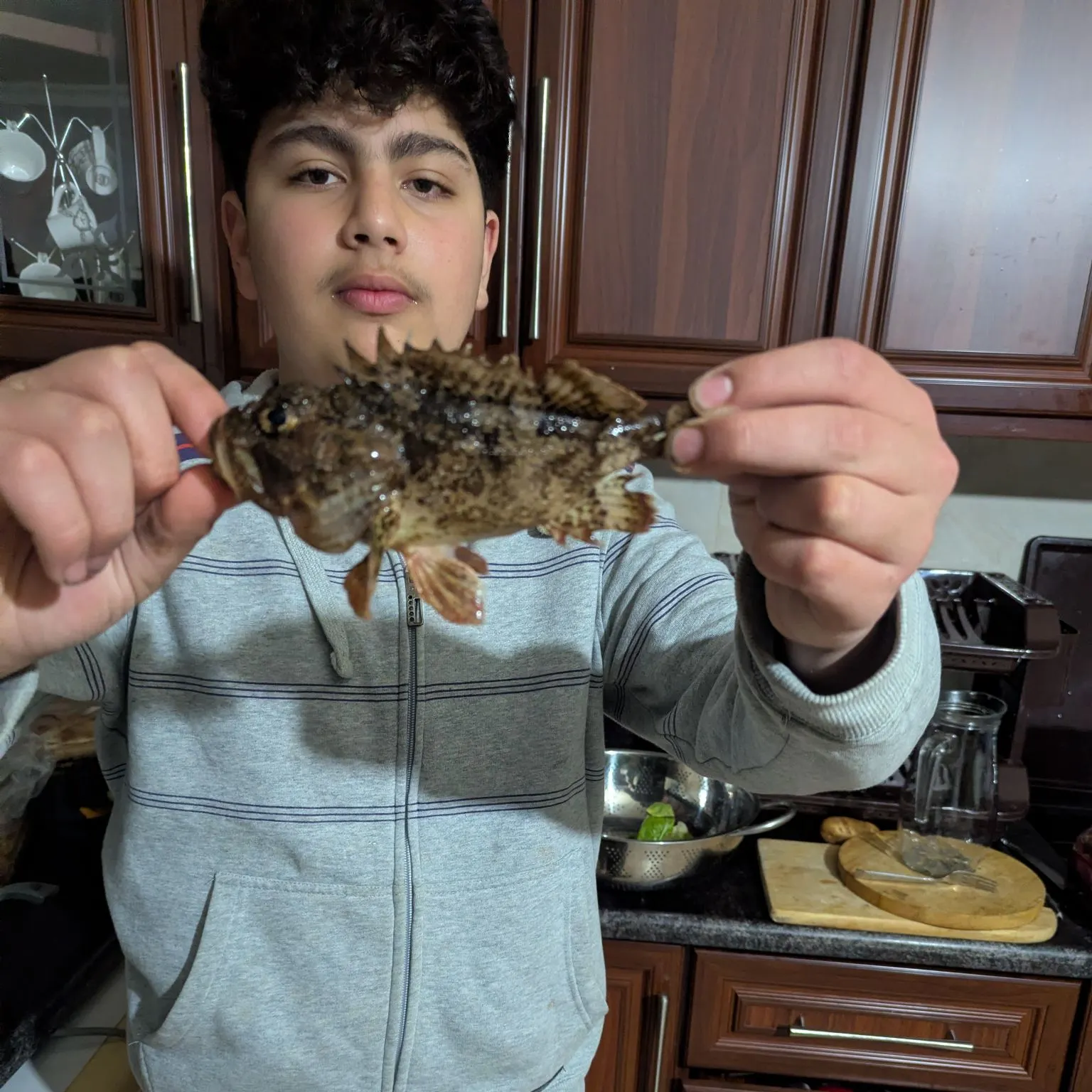 The most recent Greasy grouper catches on Fishbrain