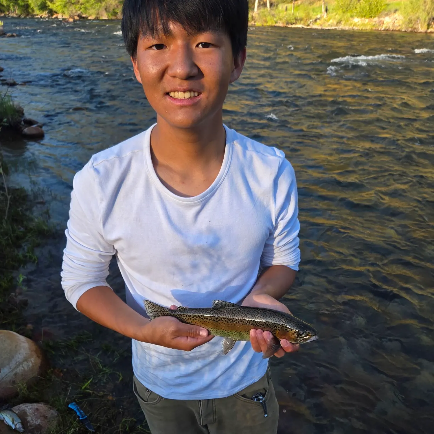 The most recent Kern River Rainbow Trout catches on Fishbrain