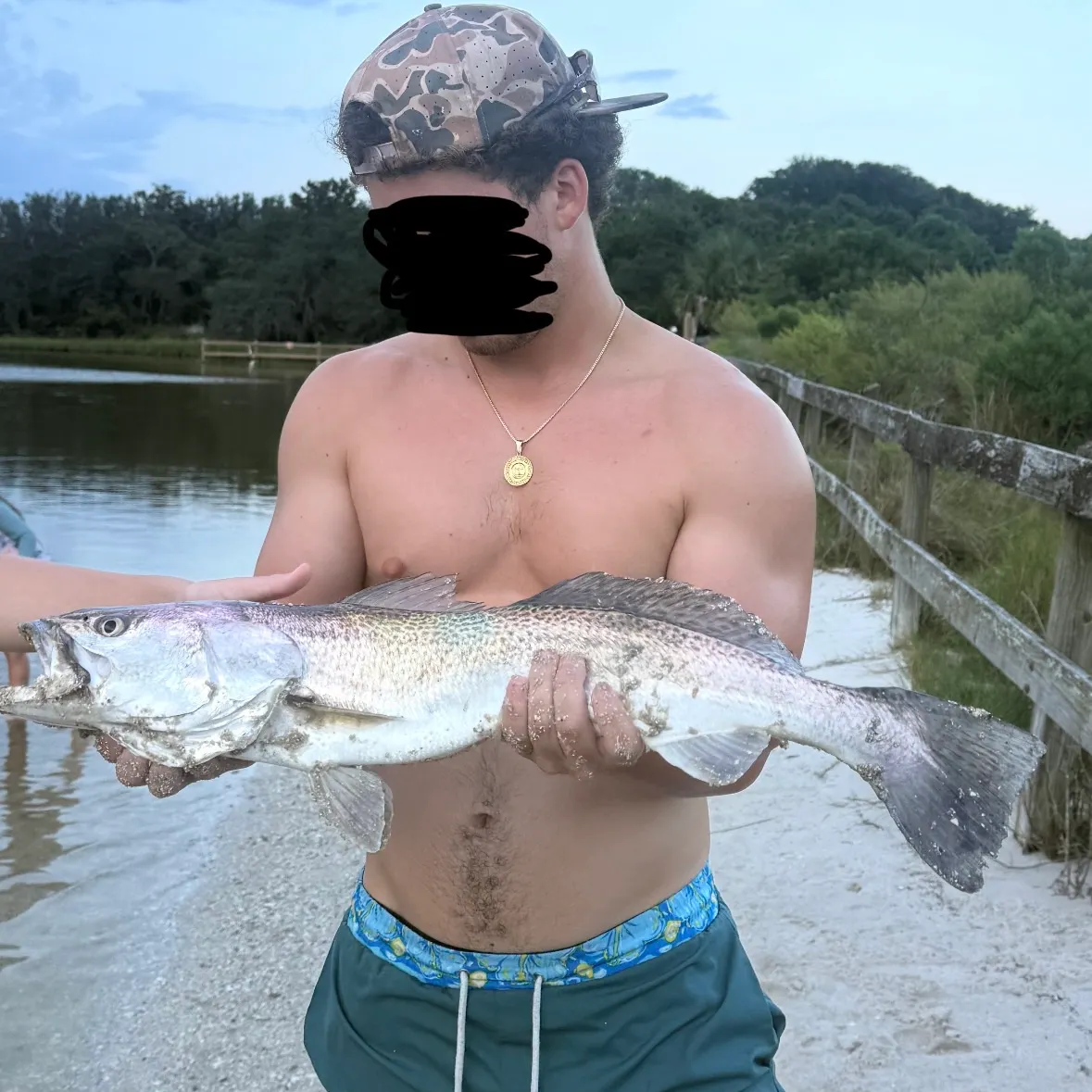 Spotted seatrout caught on Fishbrain