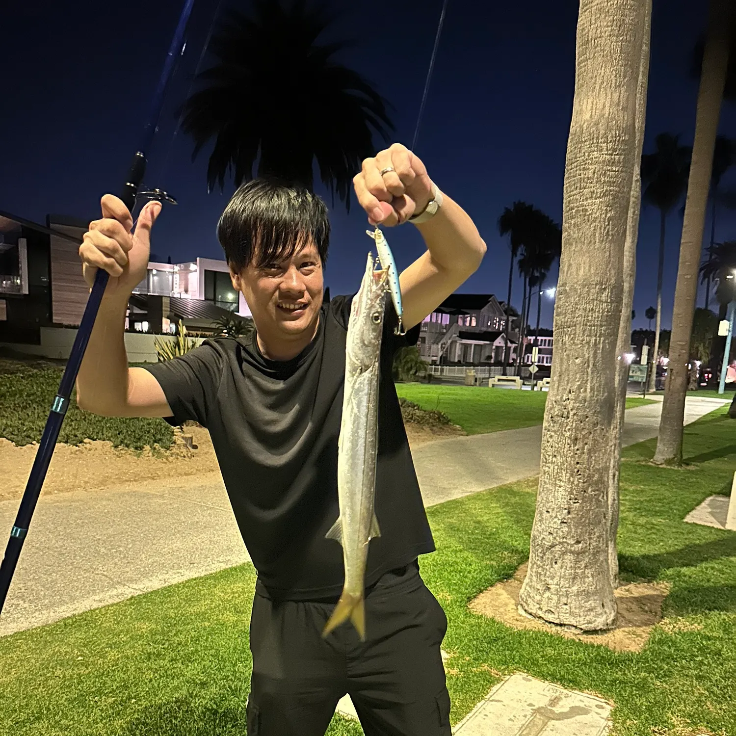 Pacific barracuda caught on Fishbrain