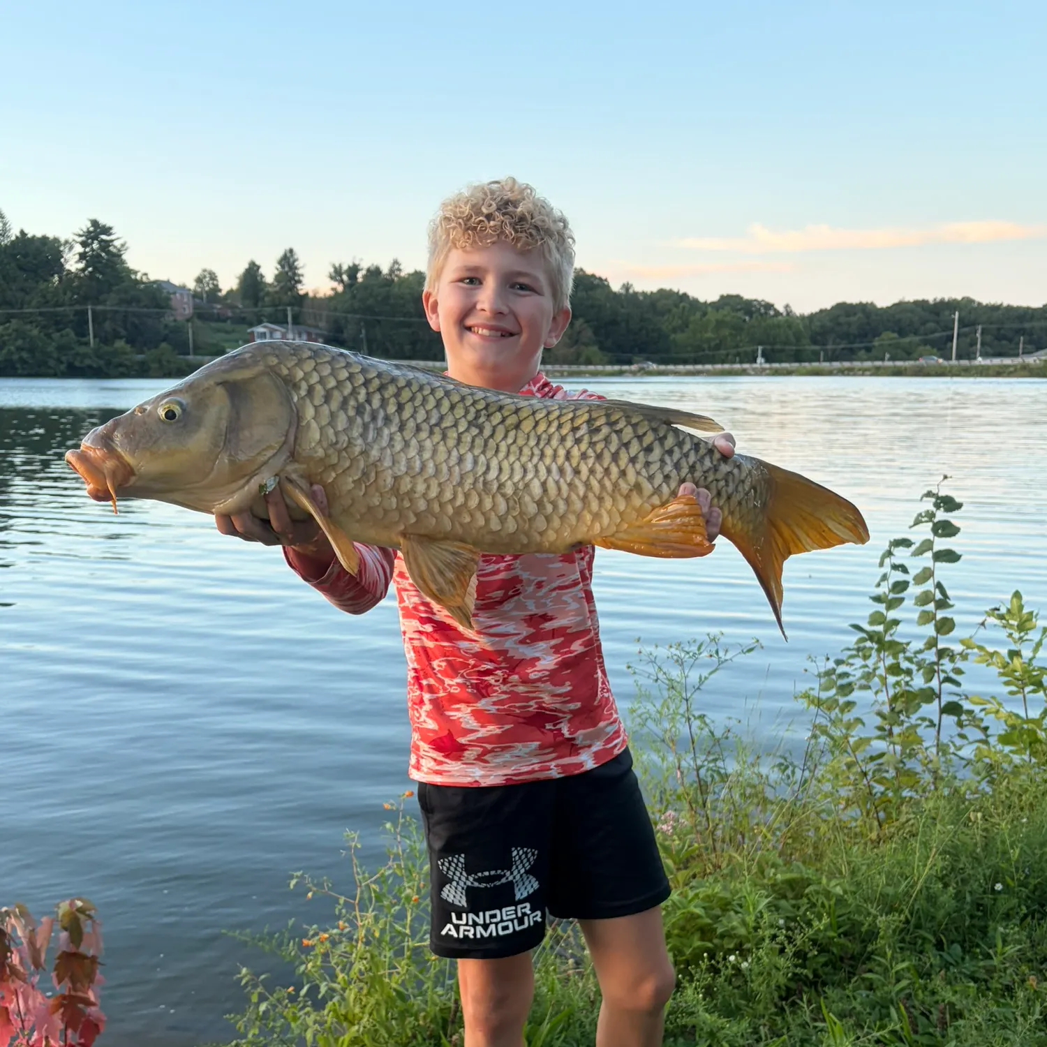 Common carp caught on Fishbrain