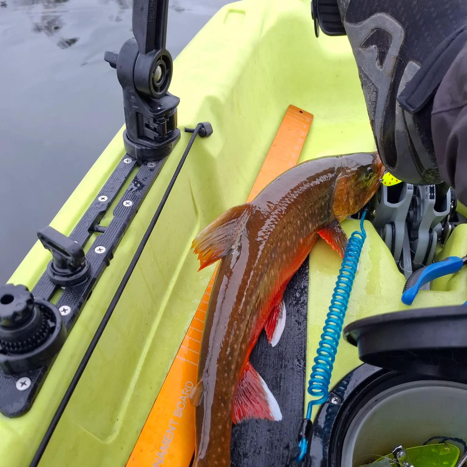 The most recent Arctic char catches on Fishbrain