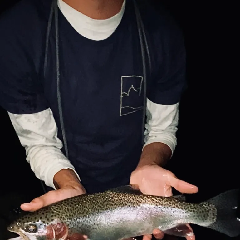 The most recent Cutbow catches on Fishbrain