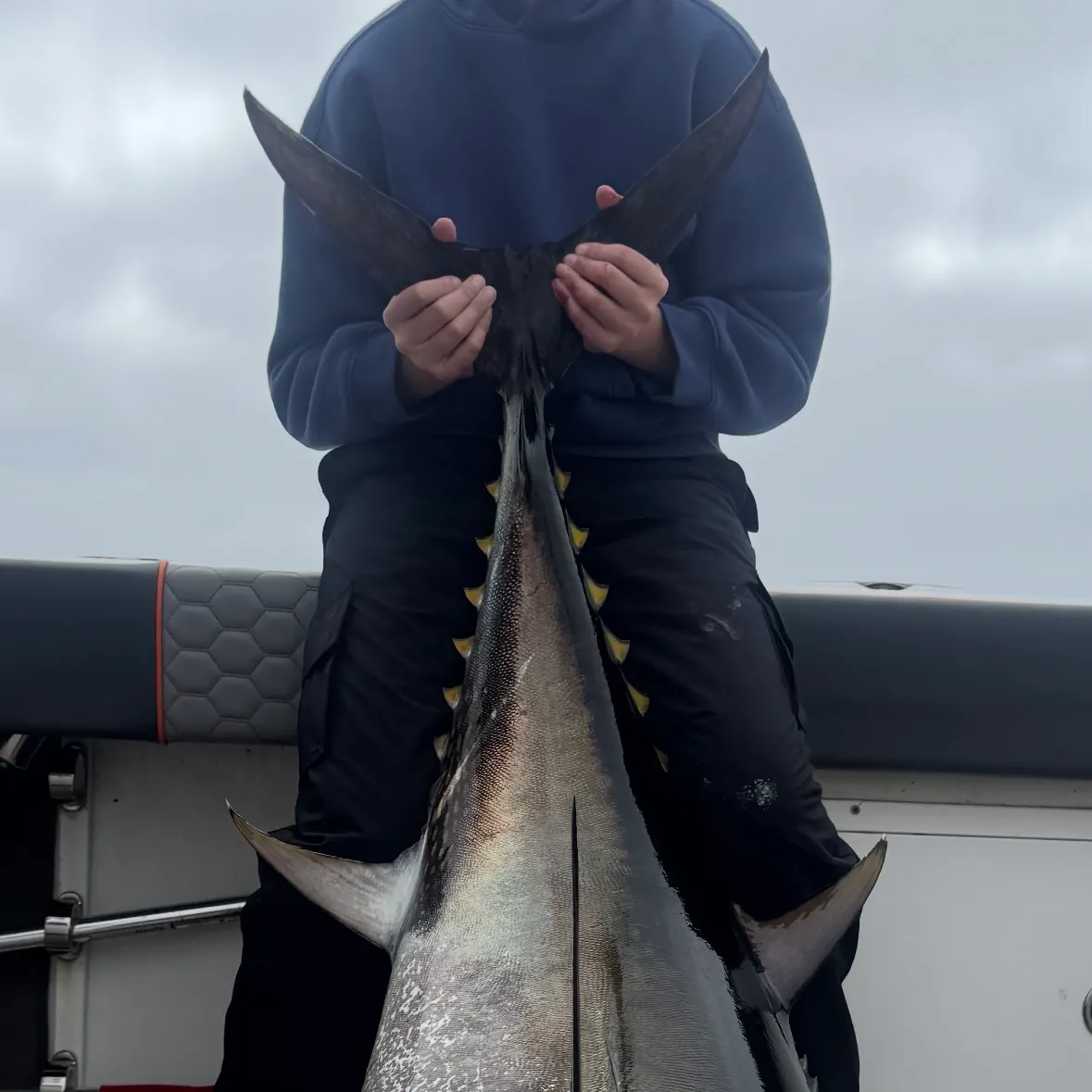 The most recent Pacific bluefin tuna catches on Fishbrain