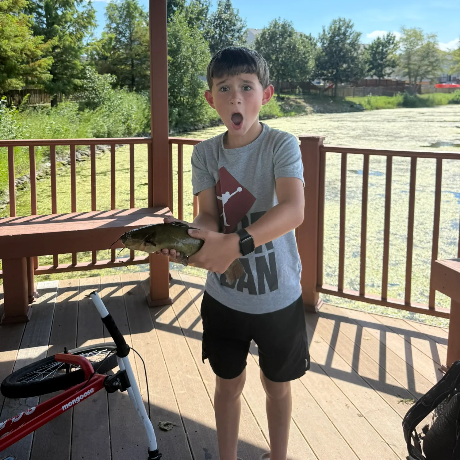 Yellow bullhead caught on Fishbrain